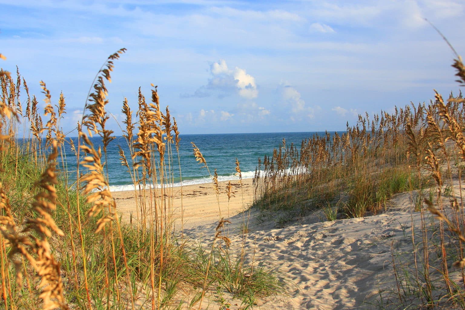 Top 4 Places to Spend Your Spring Break in North Carolina