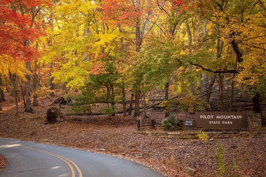 A Scenic Autumn Adventure